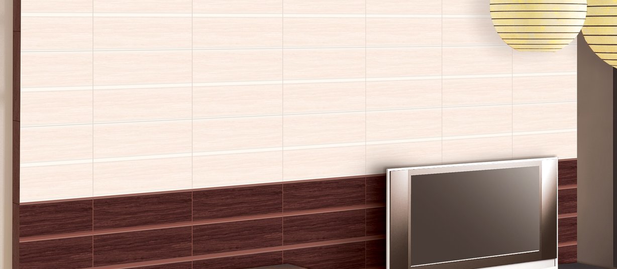 rosewood Brown and White tiles Modern style Living room Tiles